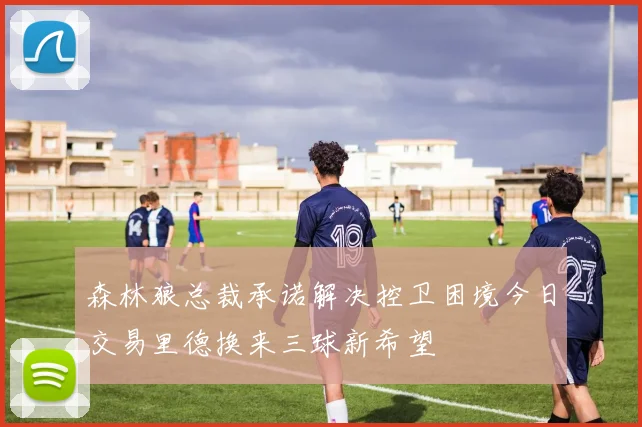 森林狼总裁承诺解决控卫困境今日交易里德换来三球新希望